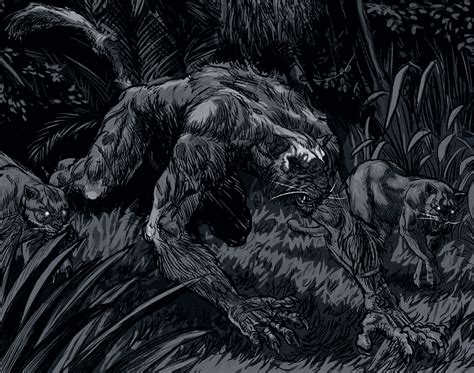 werecat vs werewolf|Werecats Around the World